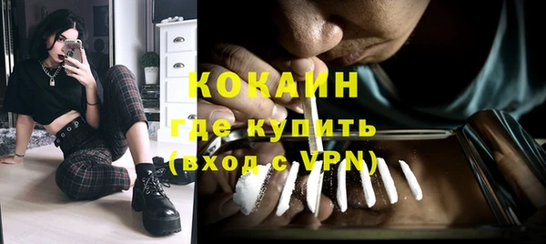 хмурый Бородино
