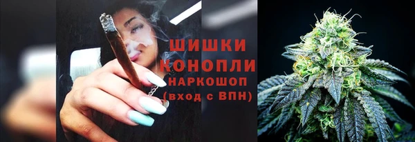 хмурый Бородино