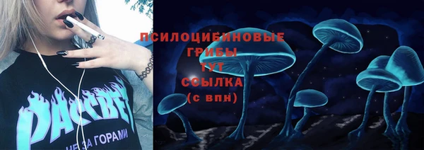 гидропоника Бронницы