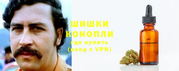 хмурый Бородино