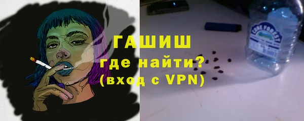 хмурый Бородино
