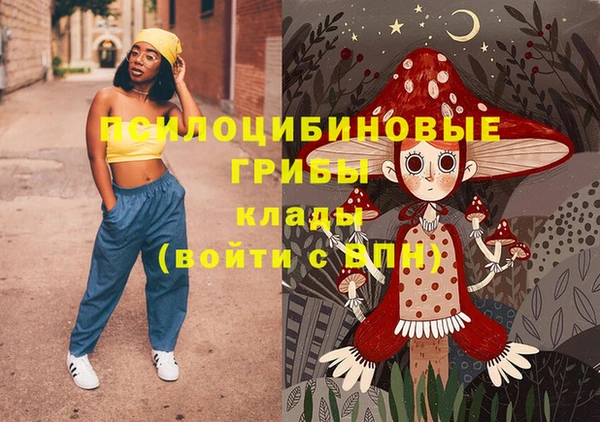 хмурый Бородино