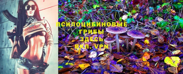 амф Бугульма