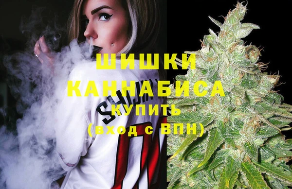хмурый Бородино