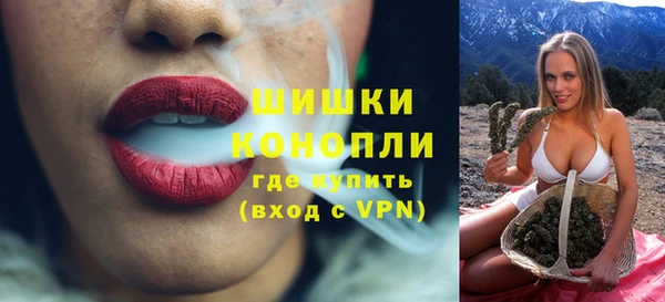 хмурый Бородино