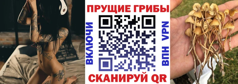 Псилоцибиновые грибы ЛСД  Циолковский 